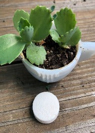 Eco Clean Tab-Multi Cleaner