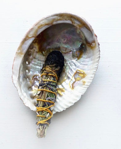 Abalone Shell